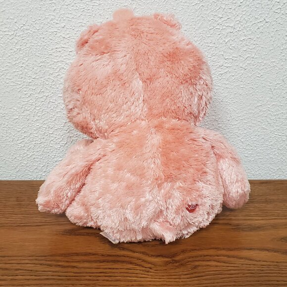 Plush 2005 Care Bears Pink Cheer Bear 12" Stuffed Animal - Picture 3 of 6